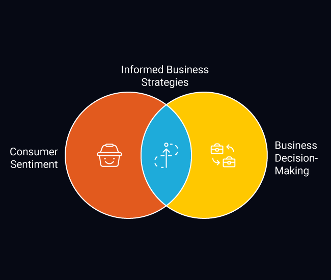 Consumer Sentiment Analysis for Better Decision-Making